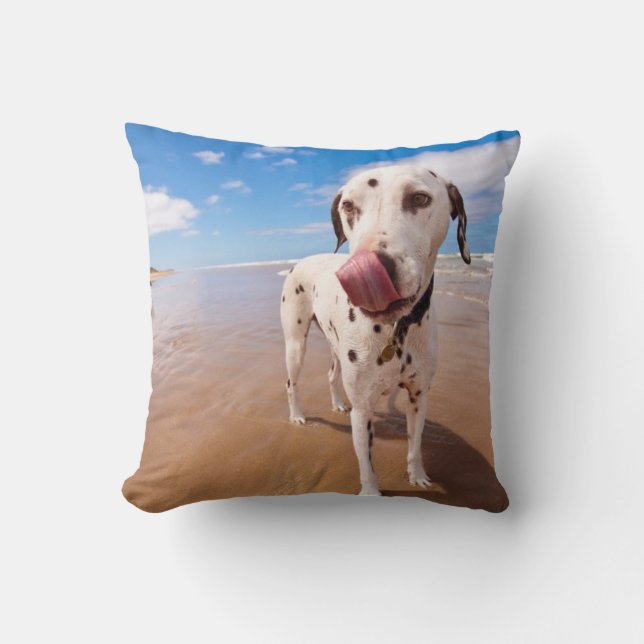 Coussin Chien dalmatien sur la plage (Recto)