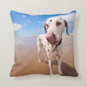 Coussin Chien dalmatien sur la plage