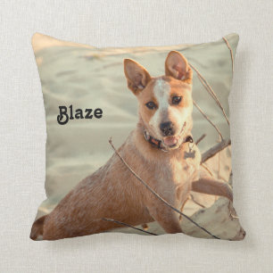 Coussin Chien de bétail australien rouge - Heeler - dans l