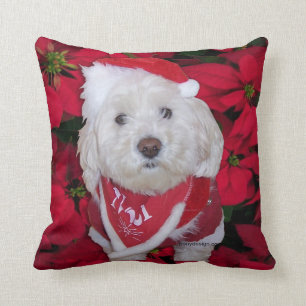 Coussin Chien de Bichon Frise de Noël