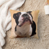 Coussin Chien de Boston Terrier (Couverture)