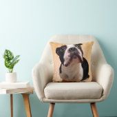 Coussin Chien de Boston Terrier (Chaise)