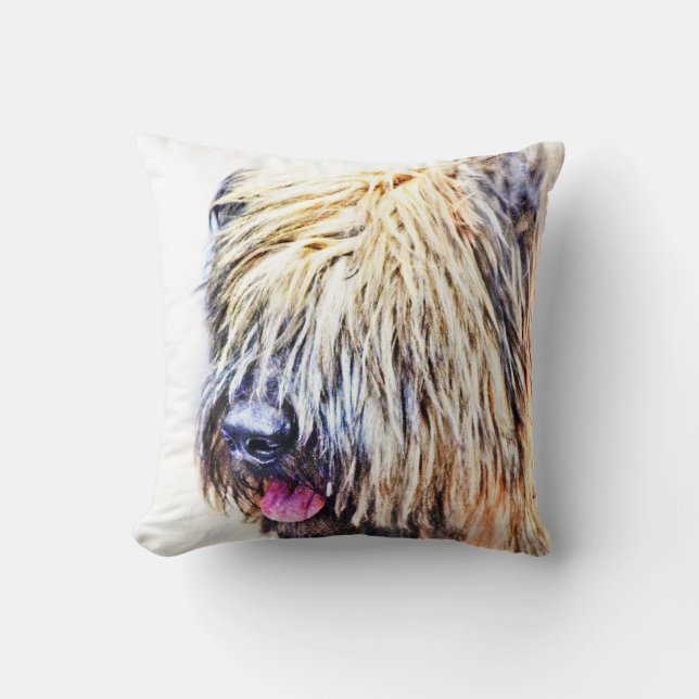 Coussin Chien de Briard (Recto)