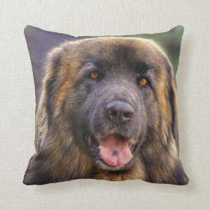 Coussin Chien de Fluffy Leonberger