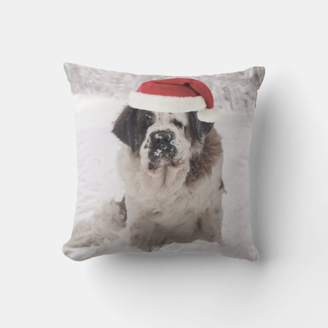 Coussin Chien de Saint-Bernard avec chapeau de santa (Recto)