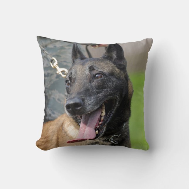 Coussin Chien de sourire de Malinois de Belge (Recto)