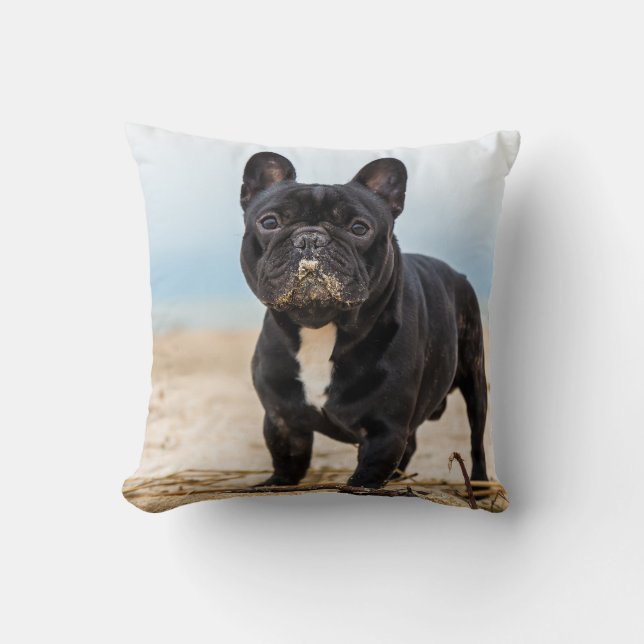 Coussin Chien de taureau français jouant dans le sable (Recto)