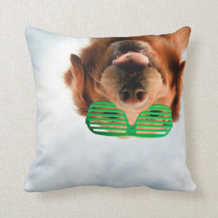 Coussin Chien des images de Getty avec des verres