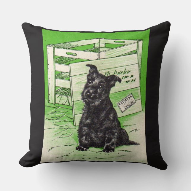 Coussin Chien écossais par livraison spéciale (Recto)