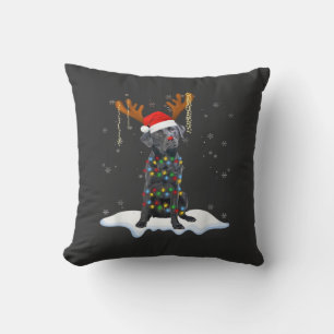 Coussin Chien en pyjama de Noël à lumières de sapin Black