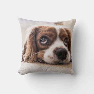 Coussin Chien Espagnol Coqueur Triste