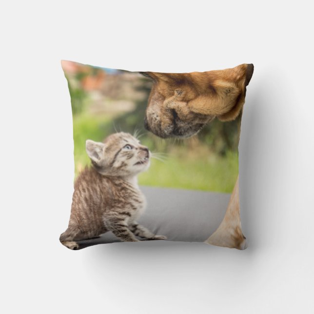 Coussin Chien et chat des images | de Getty dans l'amour (Recto)