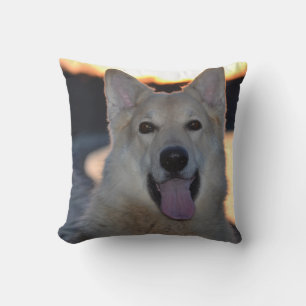 Coussin Chien Husky Sled Animaux de compagnie Lancer oreil