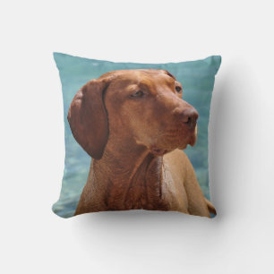 Coussin Chien Magyar Vizsla