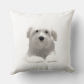 Coussin Chien maltais mignon (Verso)