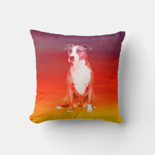 Coussin Chien Pitbull Assis Sur La Plage