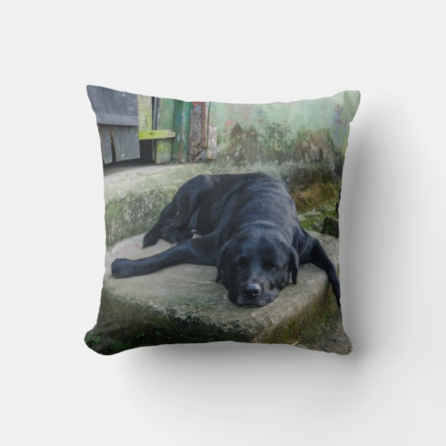 Coussin Chien somnolent (Recto)
