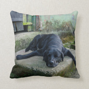 Coussin Chien somnolent