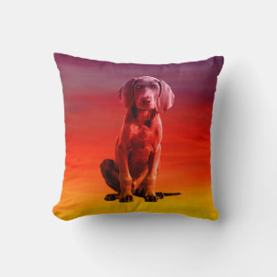 Coussin Chien Weimaraner Assis Sur La Plage