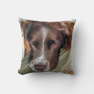 COUSSIN CHIENS