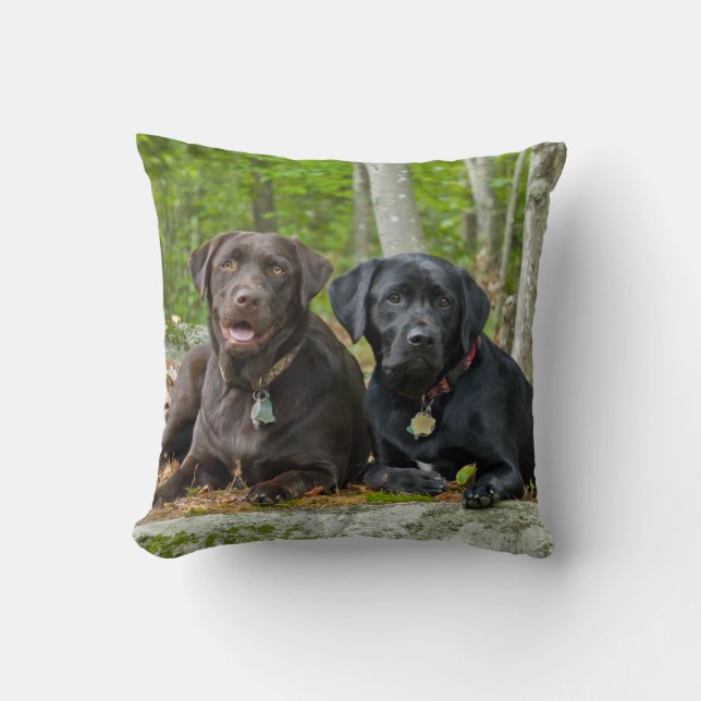Coussin Chiens Chiens Marionnettes Black Lab Chocolat Labr (Recto)