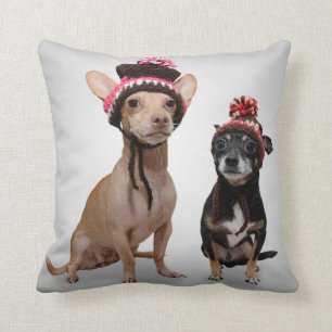 Coussin Chiens de chiwawa avec la photo de casquettes