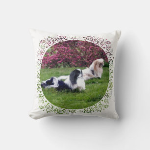 Coussin Chiens de Pékin Parti-Couleur