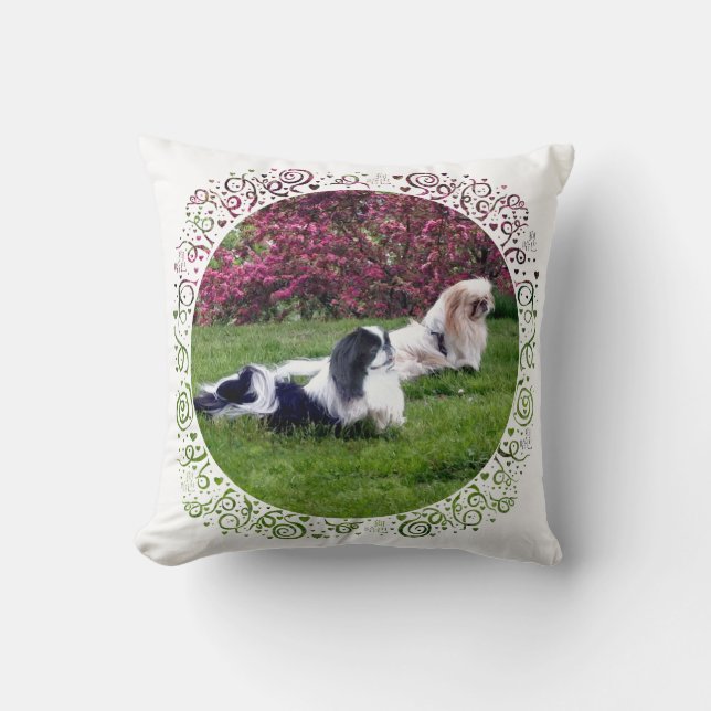 Coussin Chiens de Pékin Parti-Couleur (Recto)