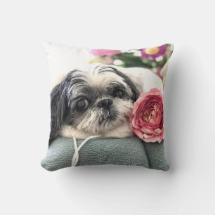 Coussin Chih Tzu Girl Thaillow