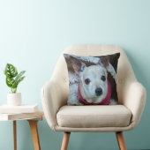 COUSSIN CHIHUAHUA (Chaise)
