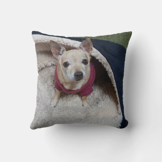 COUSSIN CHIHUAHUA (Verso)