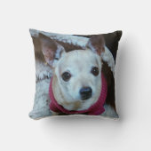 COUSSIN CHIHUAHUA (Recto)