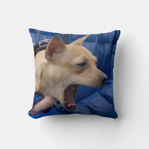 Coussin Chihuahua hurle