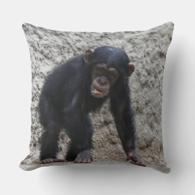 Coussin Chimpanzé 031 (Recto)
