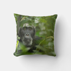 Coussin Chimpanzé caché parmi la végétation