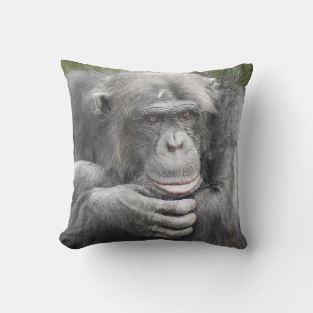 Coussin Chimpanzé contemporain (Recto)