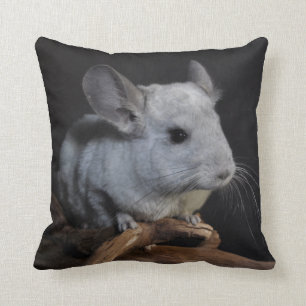 Coussin Chinchilla