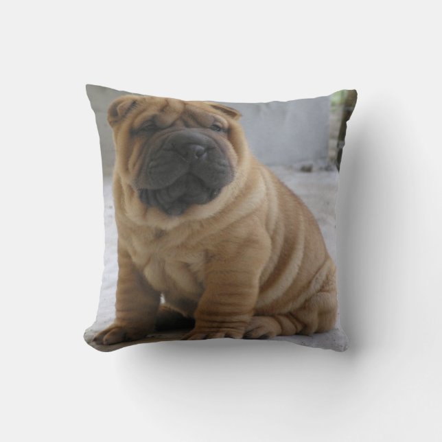 Coussin CHiNESE ShAR PEi (Recto)