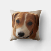 Coussin Chiot 2 de beagle (Verso)