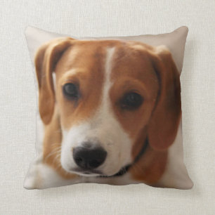 Coussin Chiot 2 de beagle