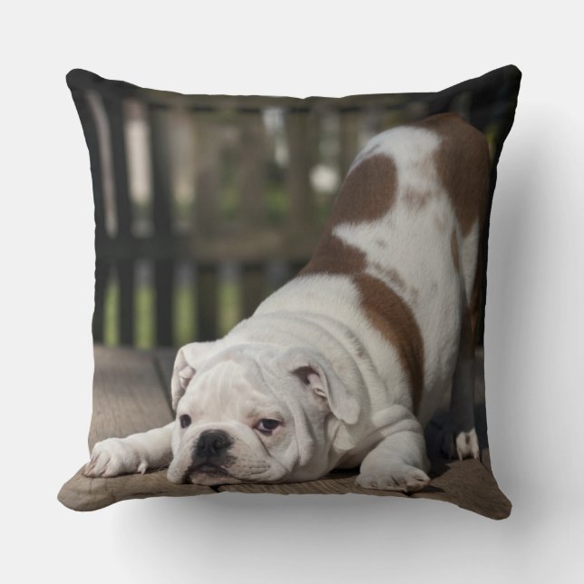 Coussin Chiot anglais de bouledogue (Recto)