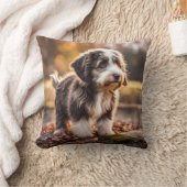 Coussin Chiot Aussiedoodle mignon (Couverture)