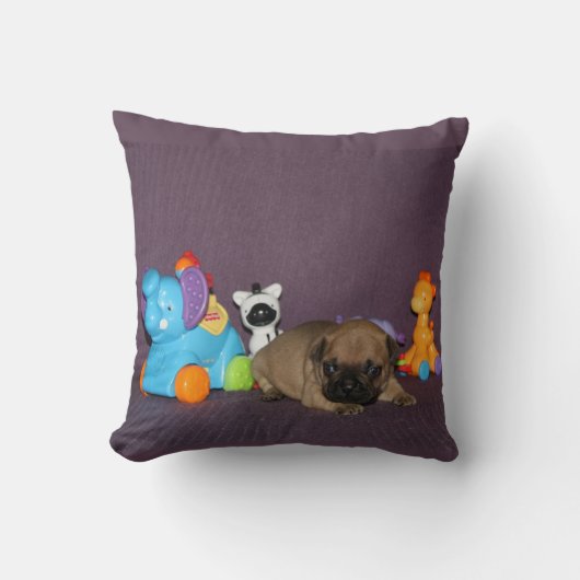 Coussin chiot bouledogue français (Recto)