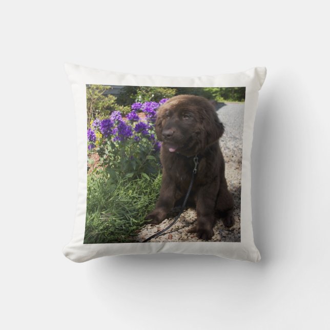 Coussin Chiot Brown de chien de Terre-Neuve (Recto)