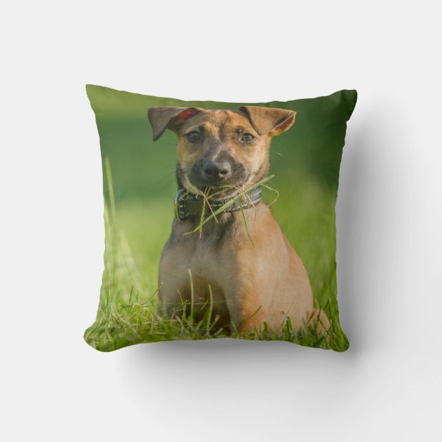 Coussin Chiot dans l'herbe (Recto)