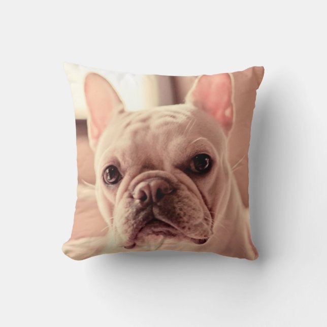 Coussin Chiot de bouledogue français (Recto)