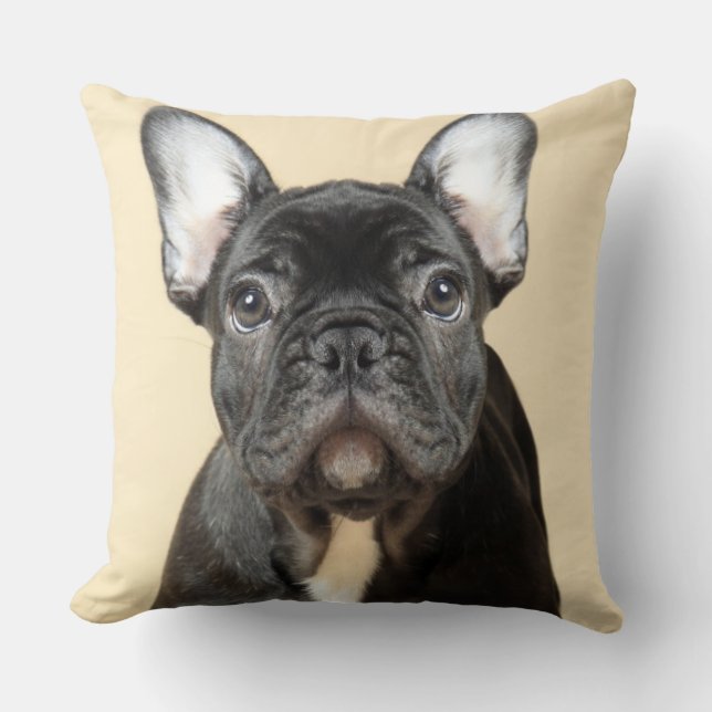Coussin Chiot de bouledogue français (Recto)