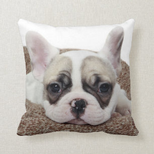 Coussin Chiot de bouledogue français se situant dans un