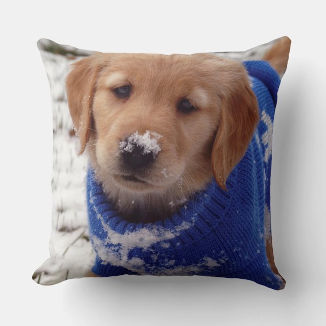 Coussin Chiot de golden retriever (Recto)