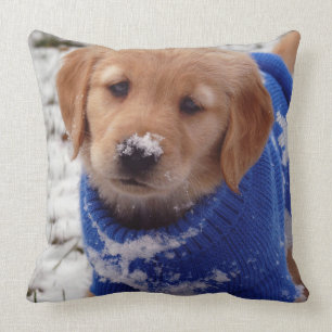 Coussin Chiot de golden retriever
